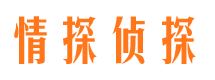 平山市侦探公司